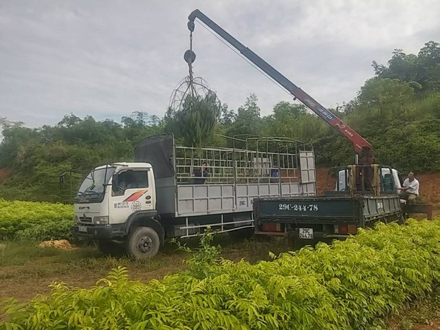 Cho thuê xe tải Văn Lâm, Văn Giang  chở hàng