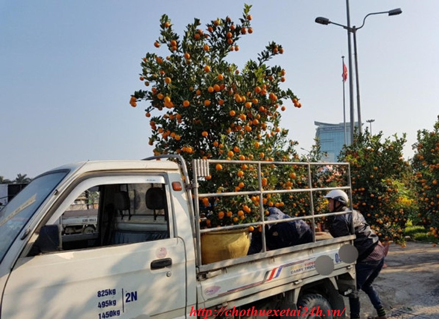 Cho thuê xe tải chở hàng, cây tại Văn Giang, Văn Lâm đi Hà Nội